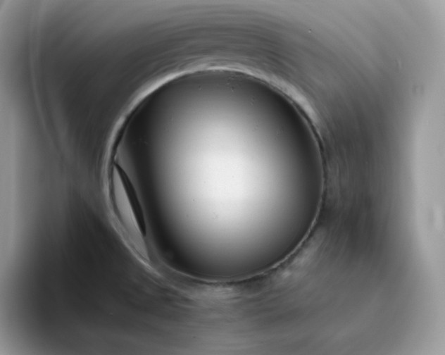 X0000094201525200711091210