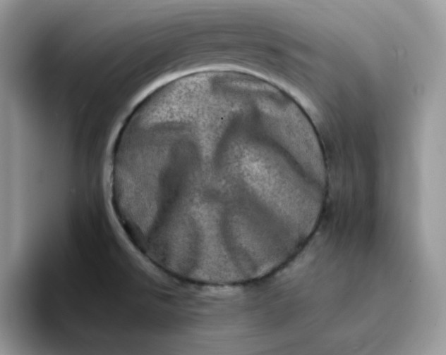 X0000094201526200711091210