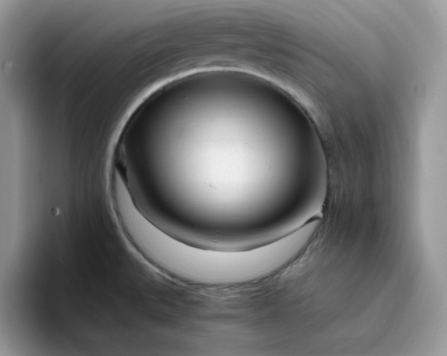 X0000094201527200711091210