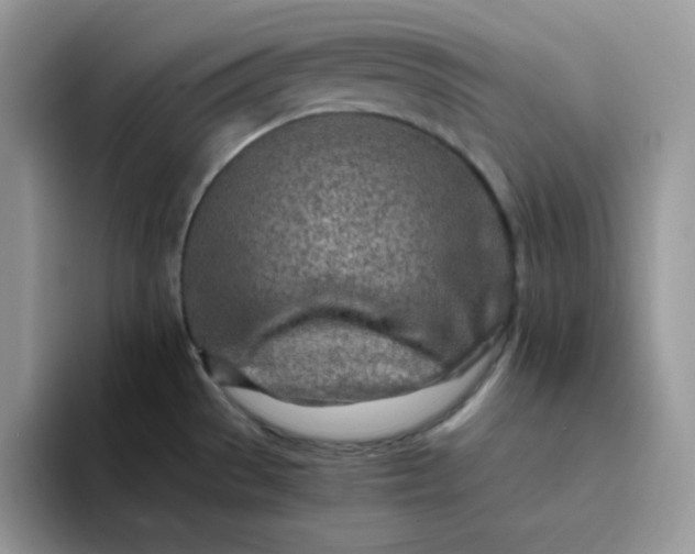 X0000094201529200711091210