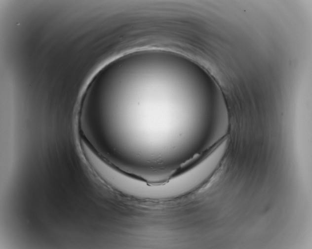 X0000094201530200711091210
