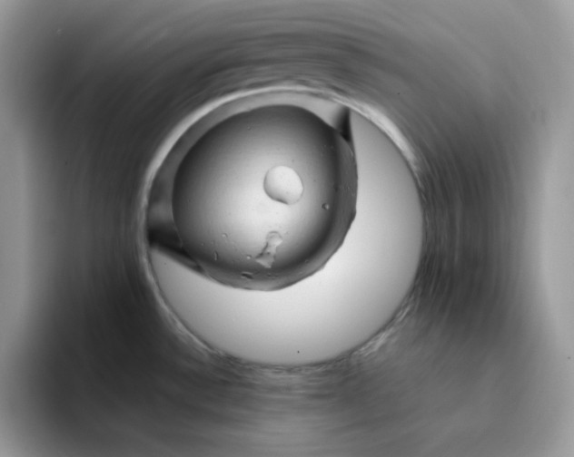 X0000094201532200711091210