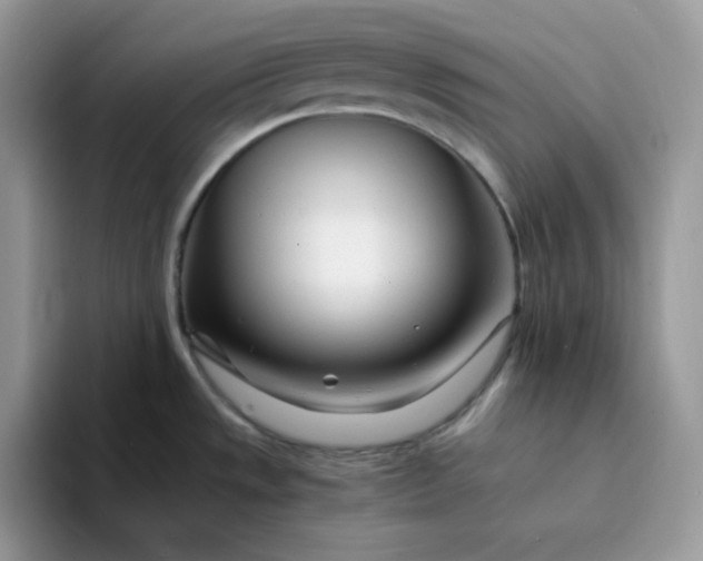 X0000094201533200711091210
