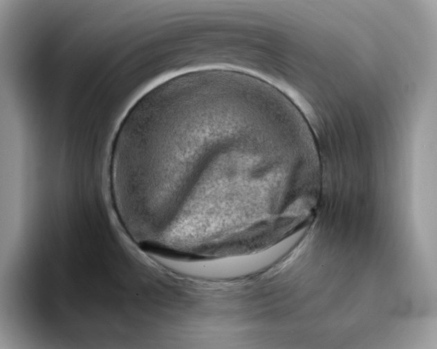 X0000094201534200711091210