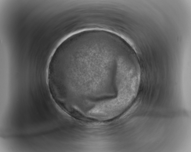 X0000094201535200711091210