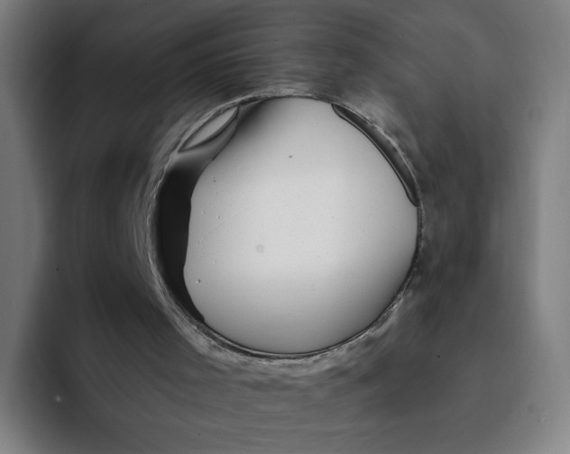 X0000094200001200711161817