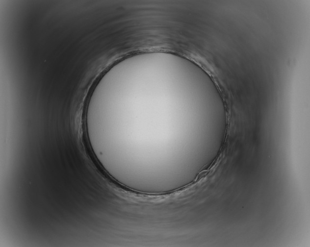 X0000094200002200711161817