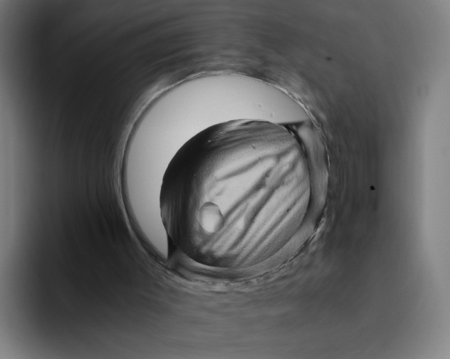 X0000094200003200711161817