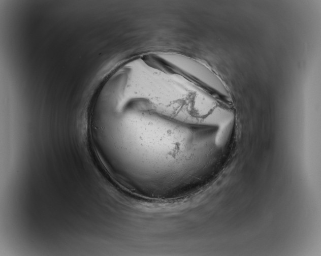 X0000094200005200711161817