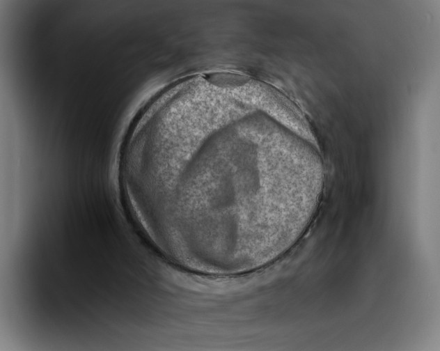 X0000094200006200711161817