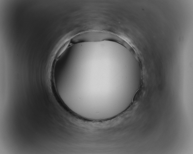 X0000094200007200711161817