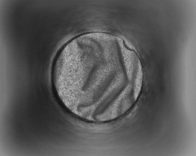 X0000094200008200711161817