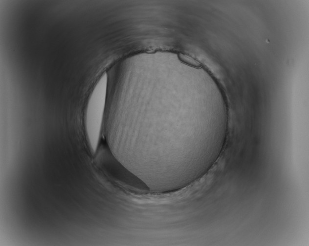 X0000094200009200711161817