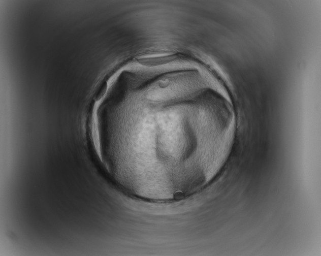 X0000094200010200711161817