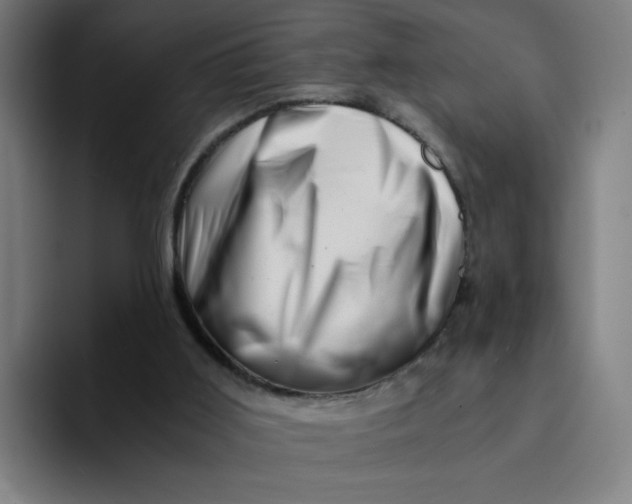 X0000094200011200711161817