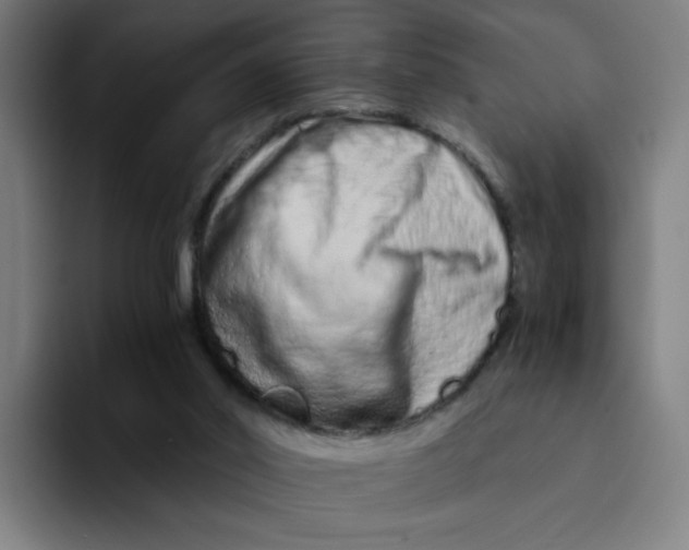 X0000094200014200711161817