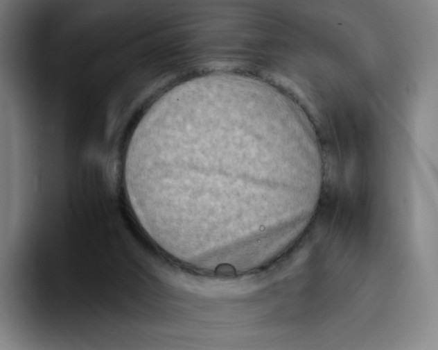 X0000094200016200711161817