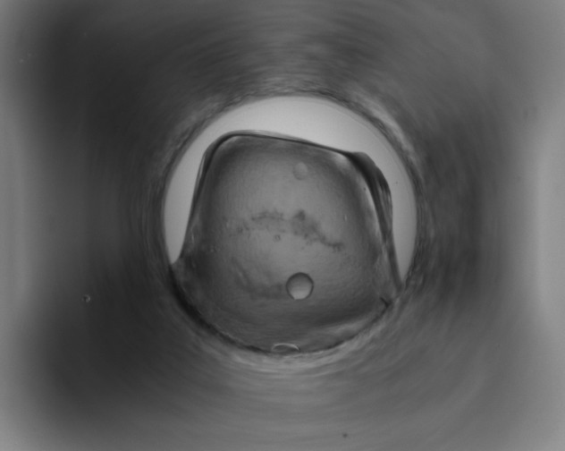 X0000094200019200711161817