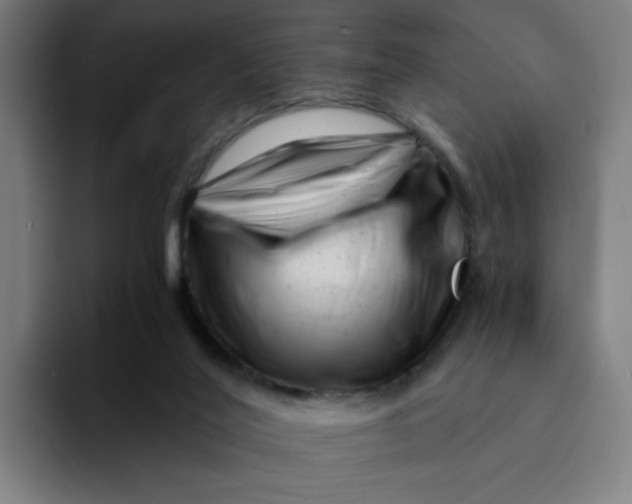 X0000094200020200711161817