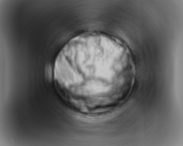 X0000094200022200711161817