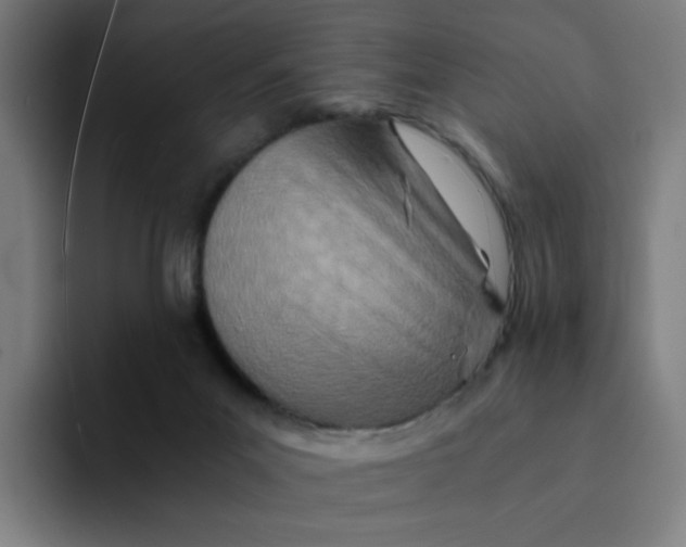 X0000094200023200711161817