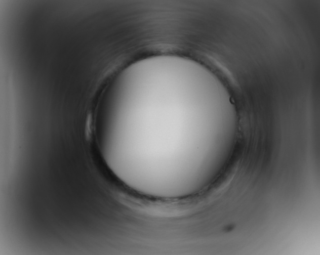 X0000094200024200711161817