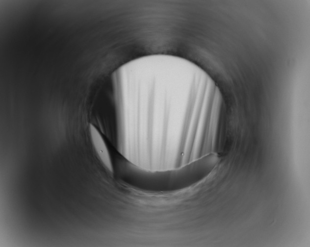 X0000094200025200711161817