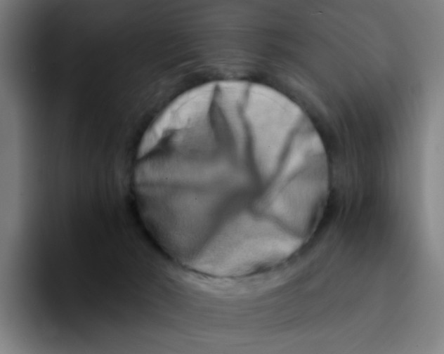 X0000094200030200711161817