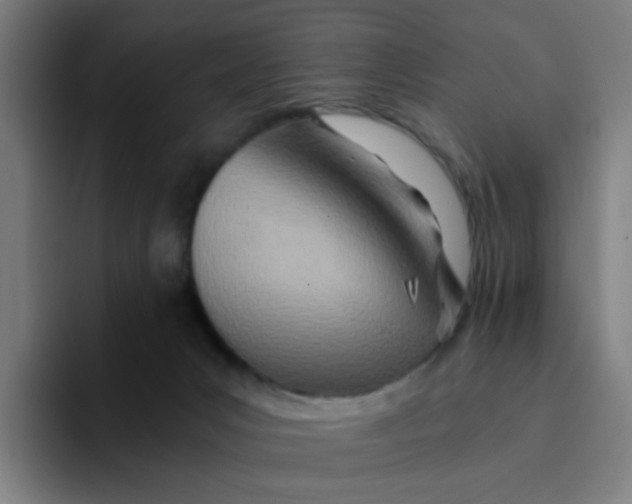 X0000094200031200711161817