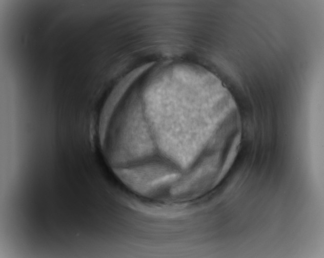 X0000094200032200711161817