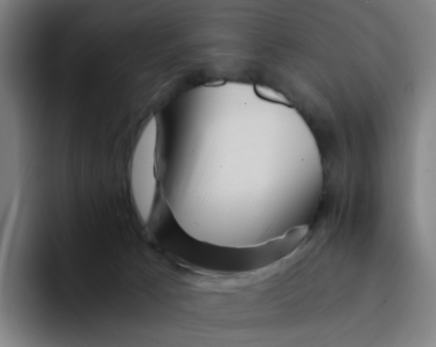 X0000094200033200711161817