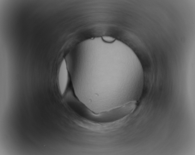 X0000094200035200711161817