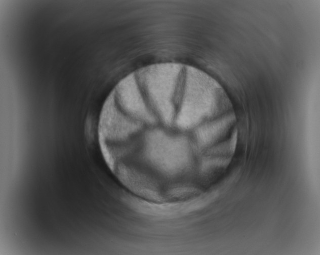 X0000094200038200711161817