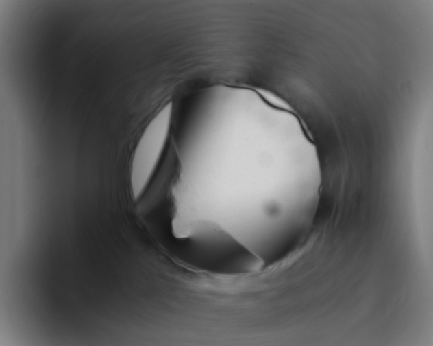 X0000094200041200711161817