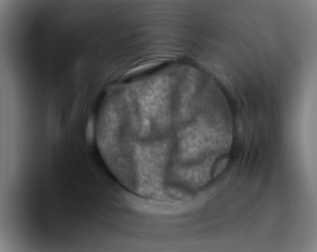 X0000094200042200711161817