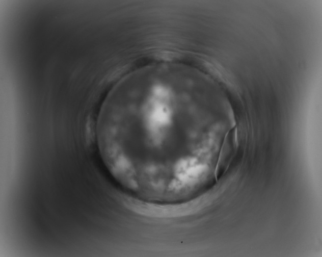 X0000094200043200711161817