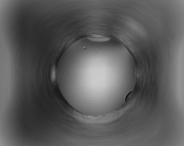 X0000094200046200711161817