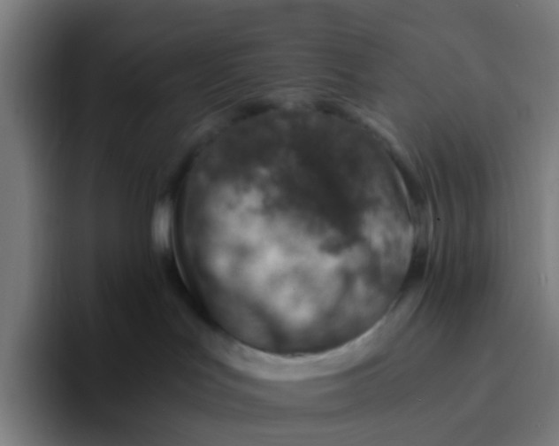 X0000094200047200711161817