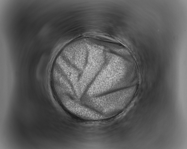 X0000094200049200711161816