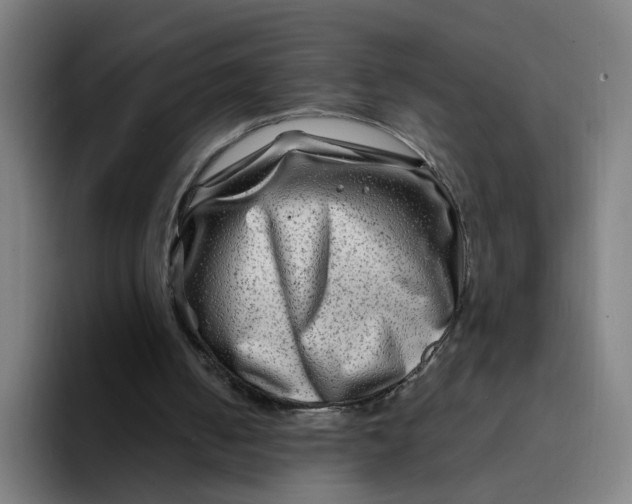 X0000094200050200711161816