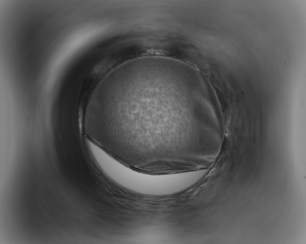 X0000094200052200711161816