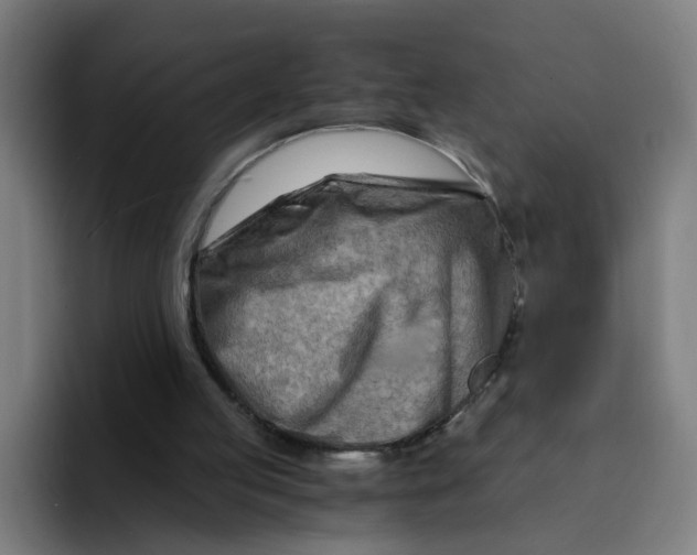 X0000094200053200711161816