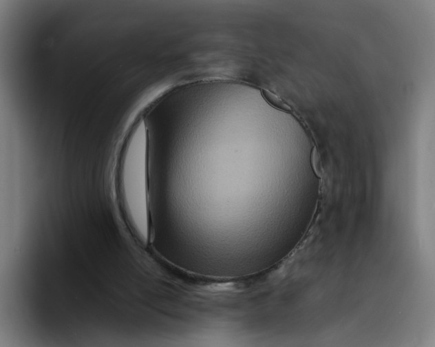 X0000094200054200711161816