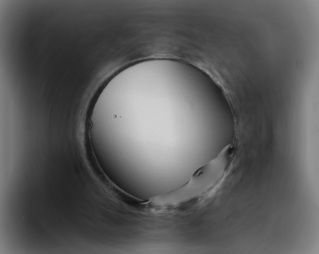 X0000094200055200711161816