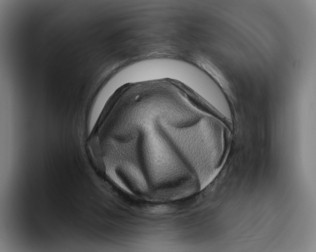 X0000094200058200711161816