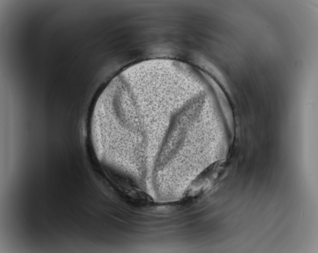 X0000094200059200711161816