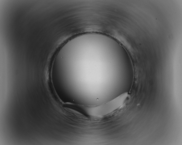 X0000094200060200711161816