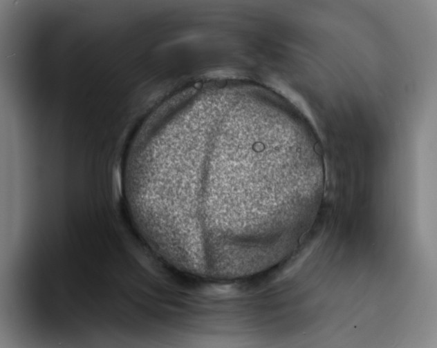 X0000094200061200711161816