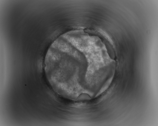 X0000094200065200711161816