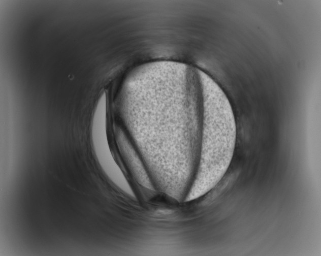 X0000094200066200711161816